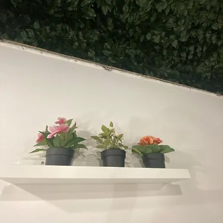 Διαμέρισμα Alfa Casa Vacanze Κατάνια