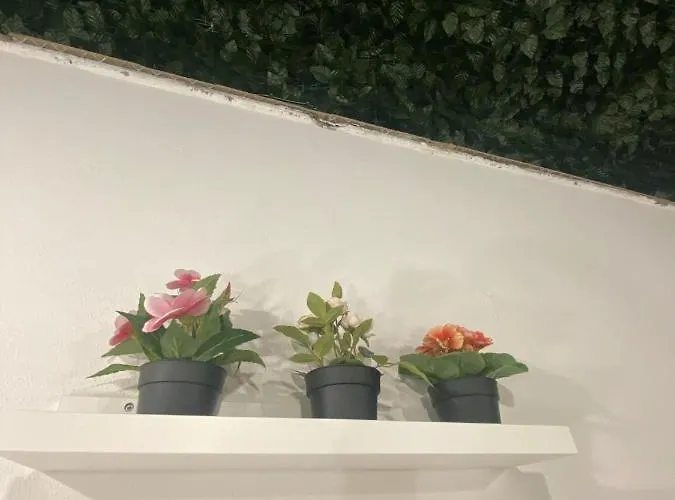 아파트 Alfa Casa Vacanze 카타니아